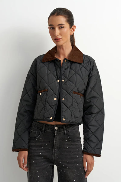 Whiskey Jacket - Black/Brown