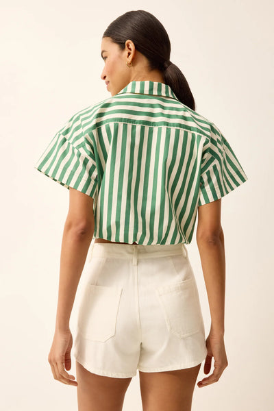 Sierra Top - Verdure